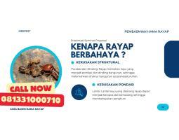 Termite Control Pest Control Basmi Hama - Surabaya