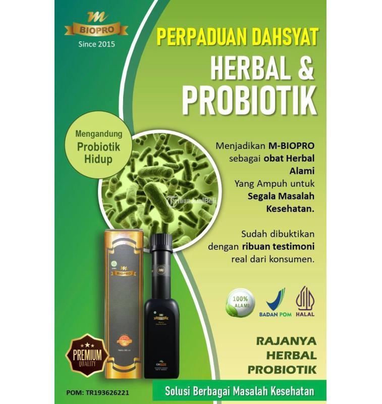 MBiopro Herbal Alami Obat Asam Lambung Mujarab - Mojokerto