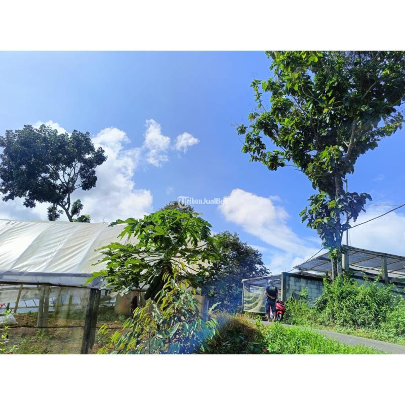 Jual Tanah Luas 854 m2 Di Kemendung, Trawas View Istimewah Gunung Lokasi Strategis - Mojokerto