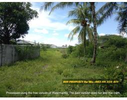 Dijual Tanah di Natar Lampung Selatan Luas 2 Ha Sangat Cocok Buat Gudang - Lampung Selatan