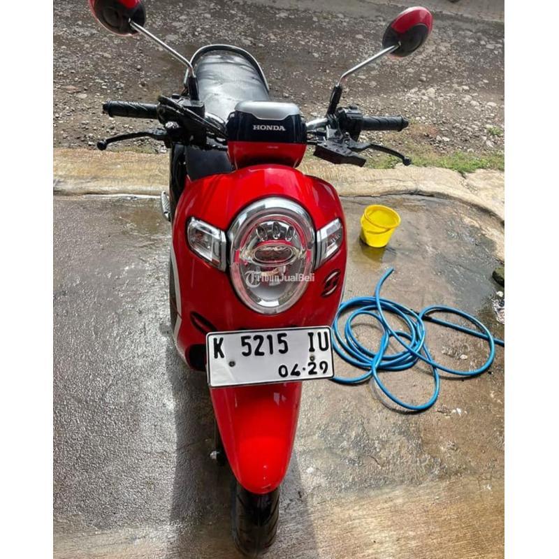 Motor Honda Scoopy Bekas Tahun 2019 - Pati
