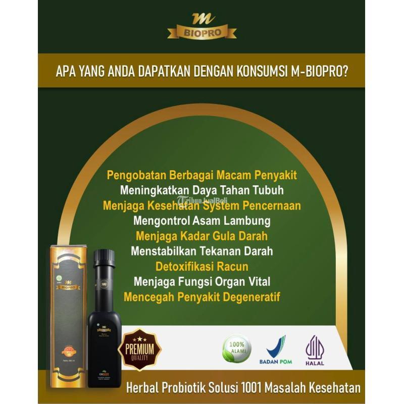 M Biopro Herbal Alami Obat Asam Lambung - Mojokerto