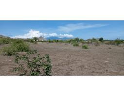Dijual Tanah 20290m2 Area Sumbawa Barat Dekat Pelabuhan Poto Tano - Sumbawa Barat
