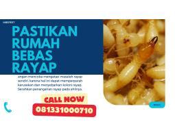 Pengendali Rayap Anti Rayap Profesional Bergaransi - Kota Semarang