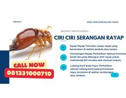 Jasa Rayap Bergaransi Anti Rayap Profesional Sistem Injeksi - Kota Semarang