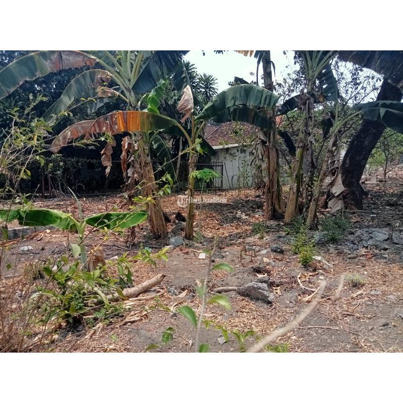 Dijual Tanah Luas 1557 m2 Strategis Cocok Untuk Kafe - Yogyakarta