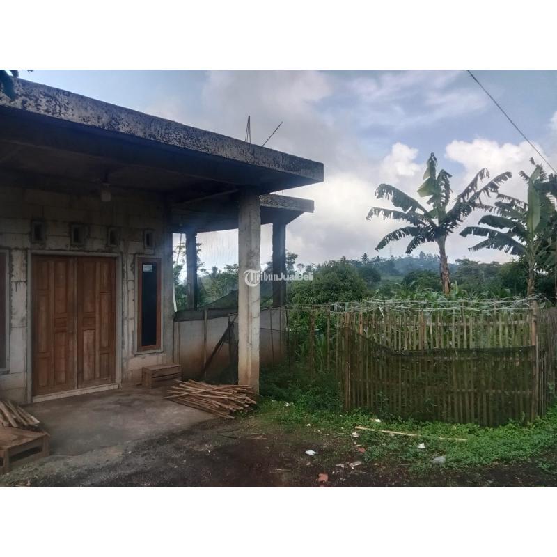 Jual Tanah Luas 3.301 m2 Kebun Jeruk. Apukat, Durian Di Jabung Malang Madewo Apples - Batu