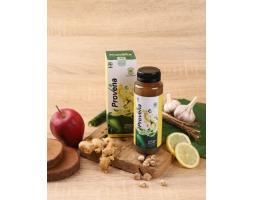 Provena Obat Herbal Kolestrol Alami Terbaik - Grobongan