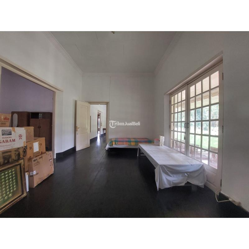 Tanah Luas 4.820 m2 Shm Dijual Cepat Di Ringroad Utara - Sleman