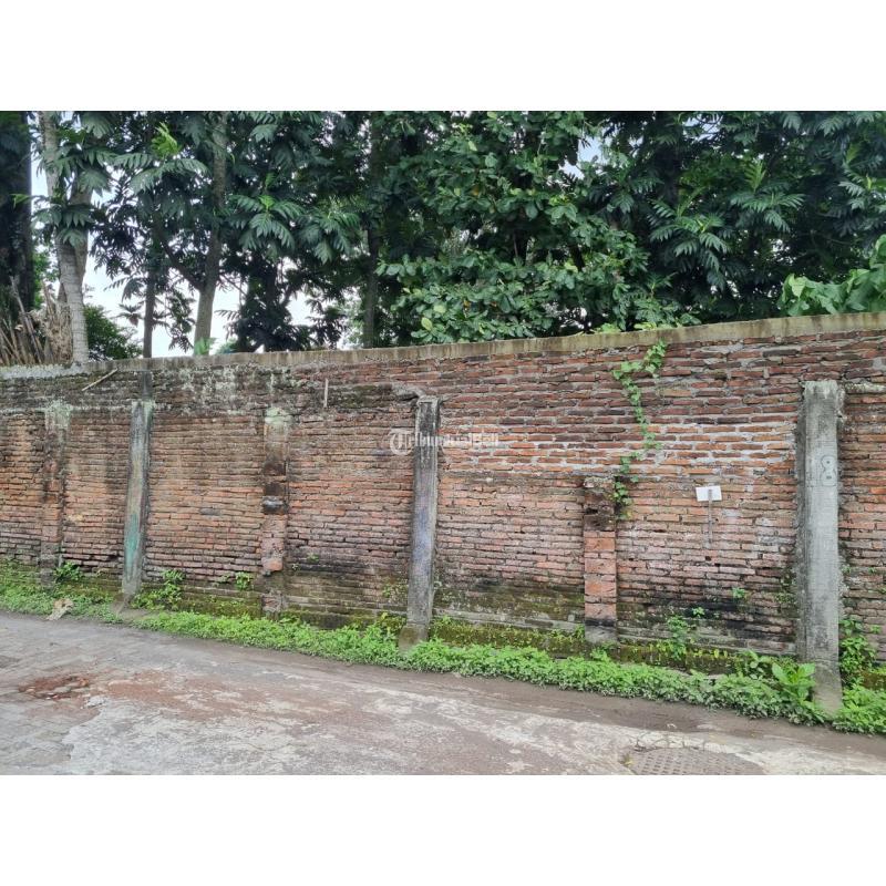 Dijual Tanah Luas Murah Bonus Rumah di Pogung Legalitas SHM - Sleman