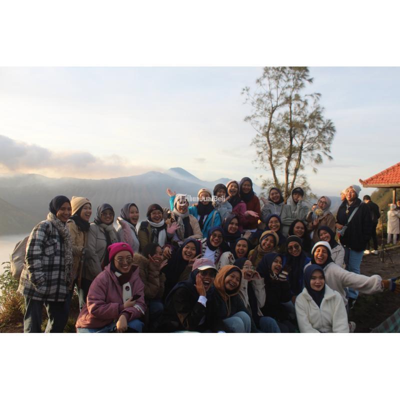 Sewa Jeep Bromo Eksplorasi Gunung dengan Gaya - Malang 