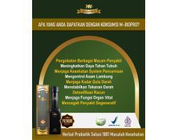 M Biopro Herbal Alami Obat Asam Lambung Naik Ke Dada Dan Punggung - Mojokerto