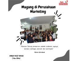 Magang di Perusahaan Marketing - Malang 