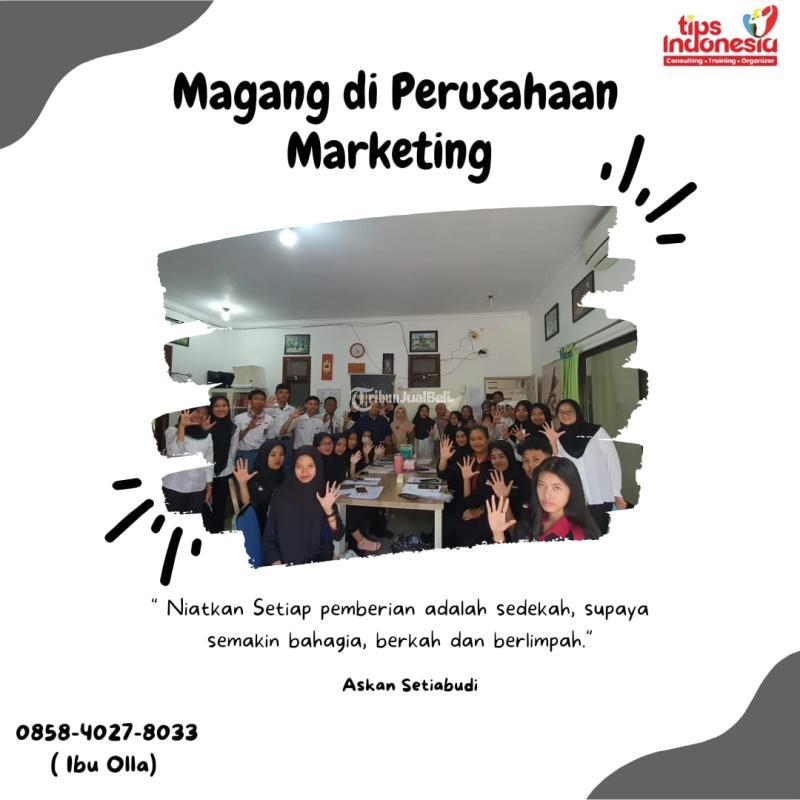 Magang di Perusahaan Marketing - Malang 