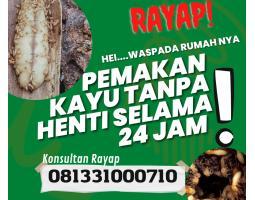 Jasa Anti Rayap No.1 Terpercaya DI Jambangan - Surabaya