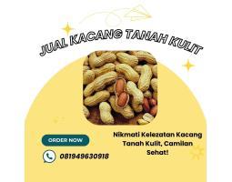  Distributor Cemilan Kacang Tanah Kulit - Malang