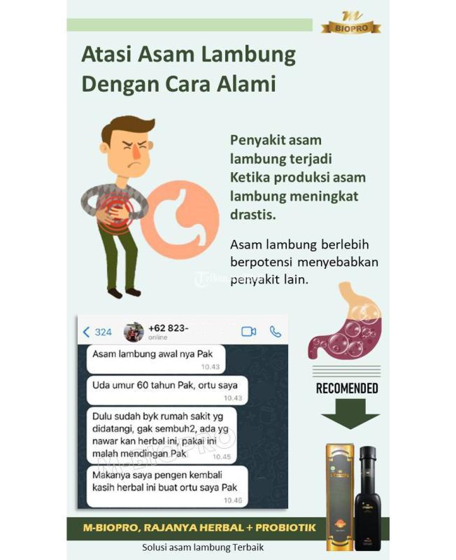 MBiopro Herbal Alami Obat Asam Lambung Naik Ke Dada Dan Punggung - Mojokerto