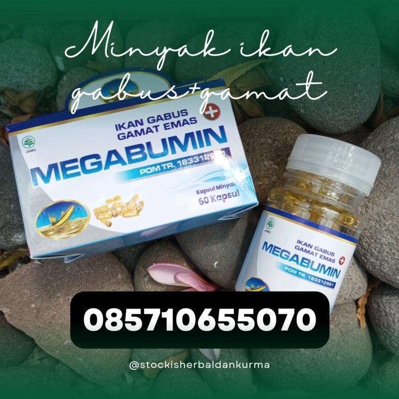 Kapsul Minyak Ikan Gabus Plus Gamat - Bantul