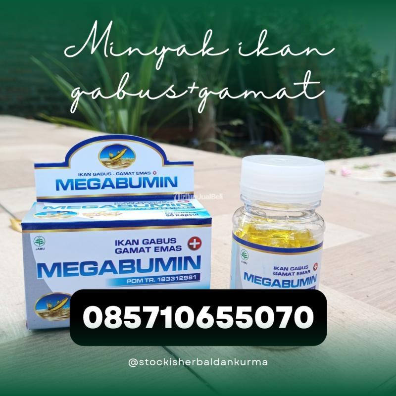 Kapsul Minyak Ikan Gabus Plus Gamat - Bantul