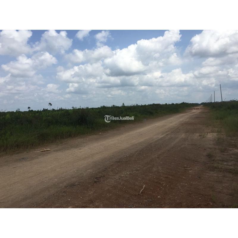 Dijual Tanah Luas 37391m SHM Di Kalimantan Dekat Kantor Bupati - Kubu Raya