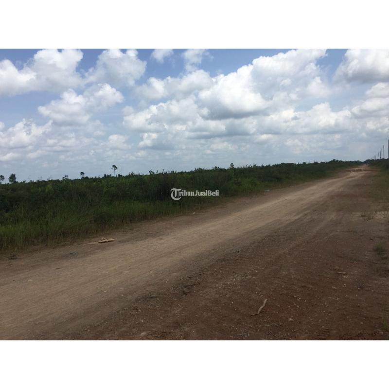 Dijual Tanah Luas 37391m SHM Di Kalimantan Dekat Kantor Bupati - Kubu Raya