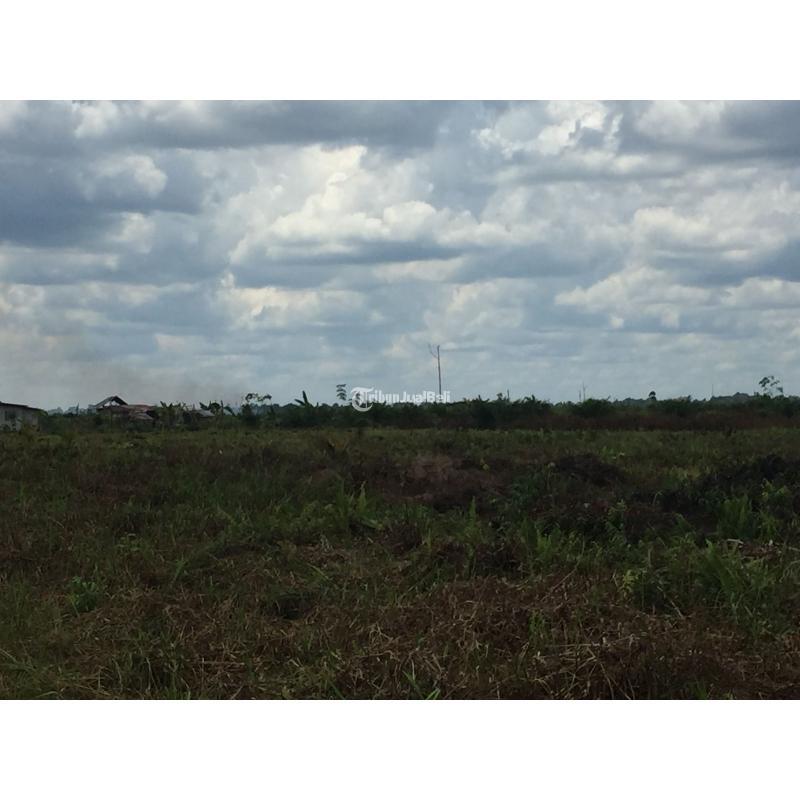 Dijual Tanah Luas 37391m SHM Di Kalimantan Dekat Kantor Bupati - Kubu Raya