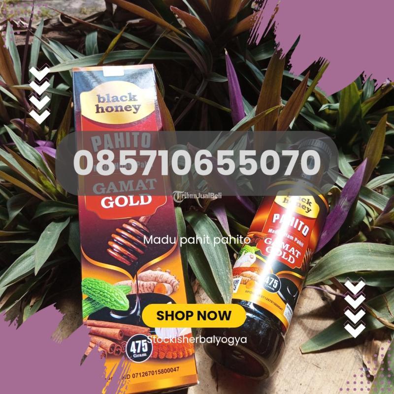 Black Honey Madu Pahito Gamat Gold - Bantul