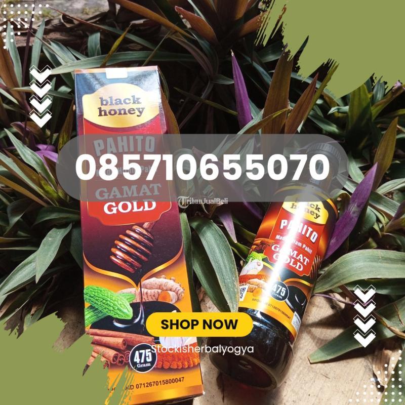Black Honey Madu Pahito Gamat Gold - Bantul