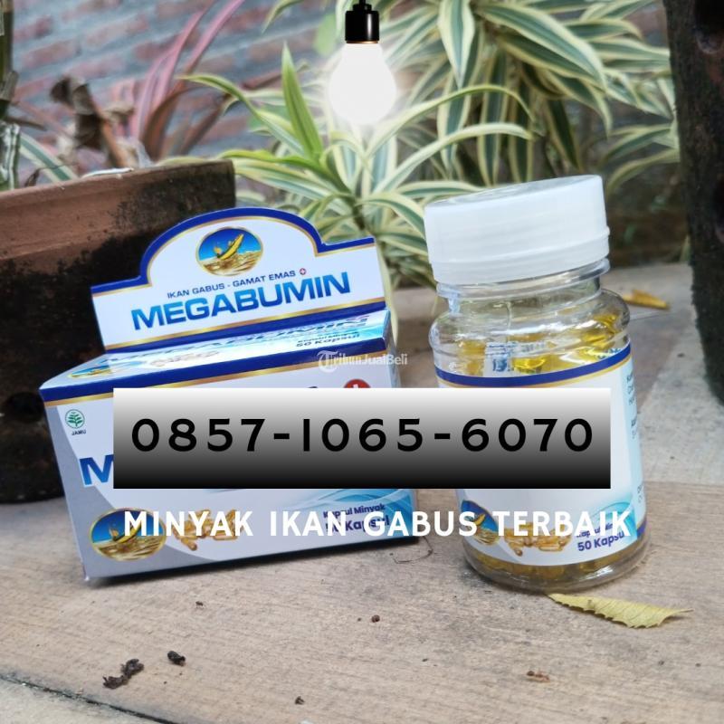 Minyak Ikan Gabus untuk Pasca Operasi - Bantul