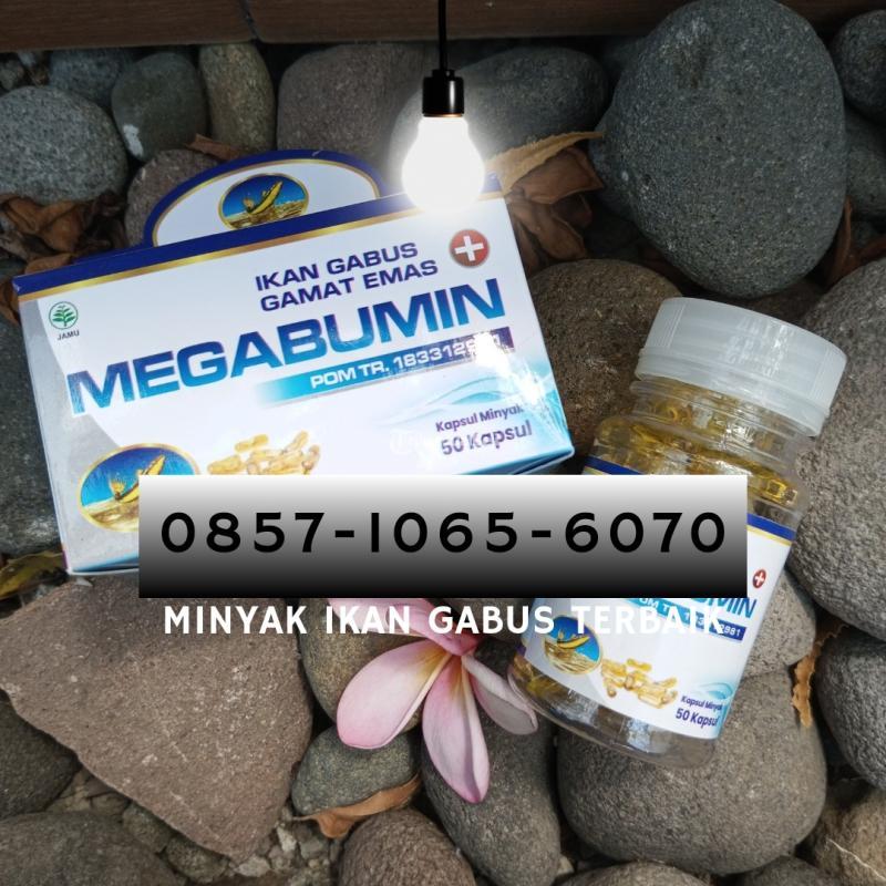 Minyak Ikan Gabus untuk Pasca Operasi - Bantul