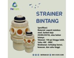 Jual Strainer Bintang, Alat Penyaring Untuk Industri - Bogor