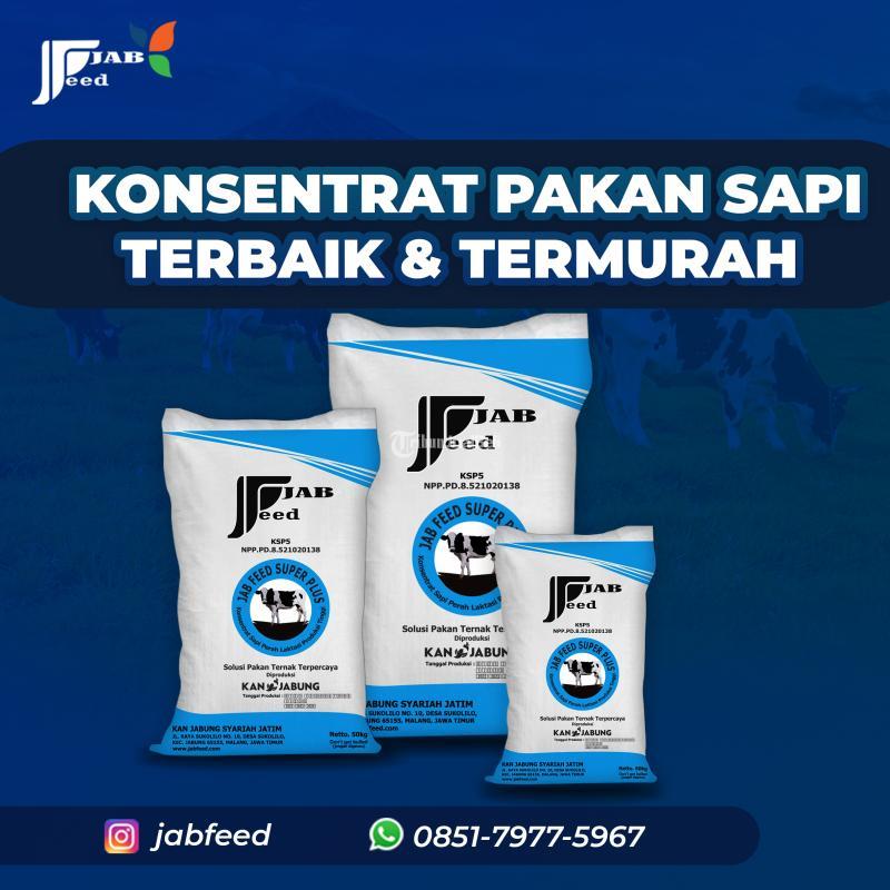 Konsentrat Sapi Terbaik Termurah JABFEED - Malang