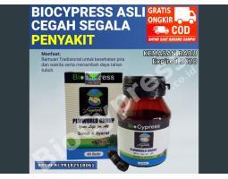 Biocypress Original Isi 40 Butir, Solusi Obat Herbal Stroke, Asam Urat - Jakarta Utara