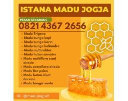 Madu Murni Murah - Yogyakarta 