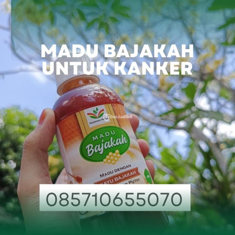 Madu Bajakah Untuk Kanker - Bantul