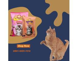Distributor Vitamin Kucing Hamil - Sawahlunto