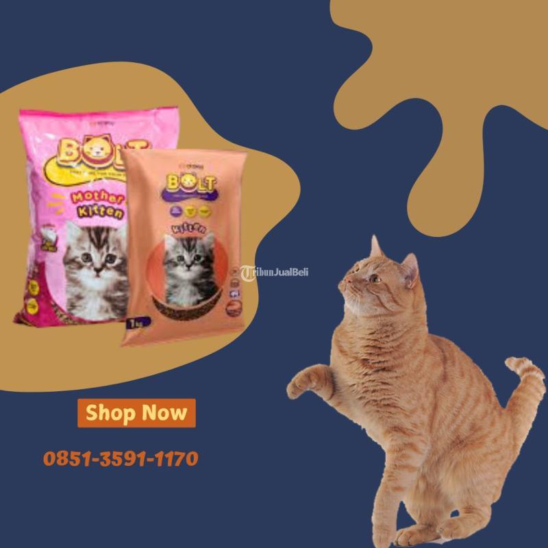 Distributor Vitamin Kucing Hamil - Sawahlunto