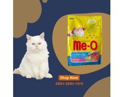  Vitamin Kucing Flu Kota - Solok Kota