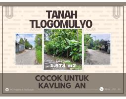 Dijual Tanah Tlogomulyo Cocok Untuk Kavling  Cluster - Semarang 