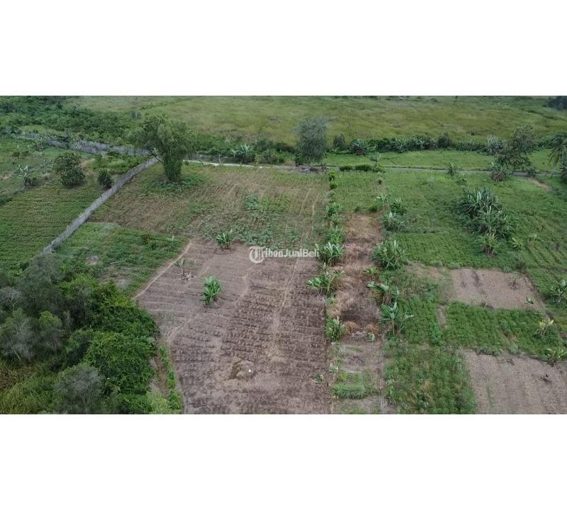 Dijual Tanah Murah, Luas 6000m2, SHM, Lokasi Strategis, Investasi Menguntungkan - Palembang