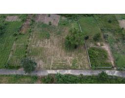 Dijual Tanah Murah, Luas 6000m2, SHM, Lokasi Strategis, Investasi Menguntungkan - Palembang