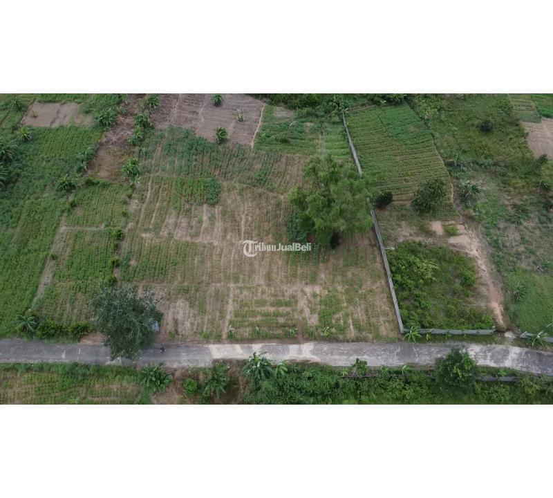 Dijual Tanah Murah, Luas 6000m2, SHM, Lokasi Strategis, Investasi Menguntungkan - Palembang