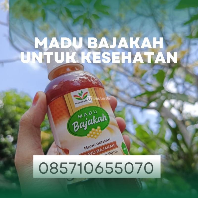 Madu Bajakah Untuk Kesehatan - Bantul