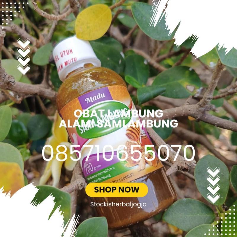 Madu Asam Lambung Asli Samlambung - Bantul