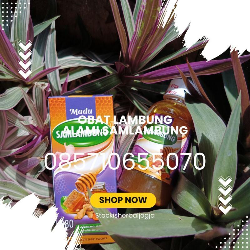 Madu Asam Lambung Asli Samlambung - Bantul