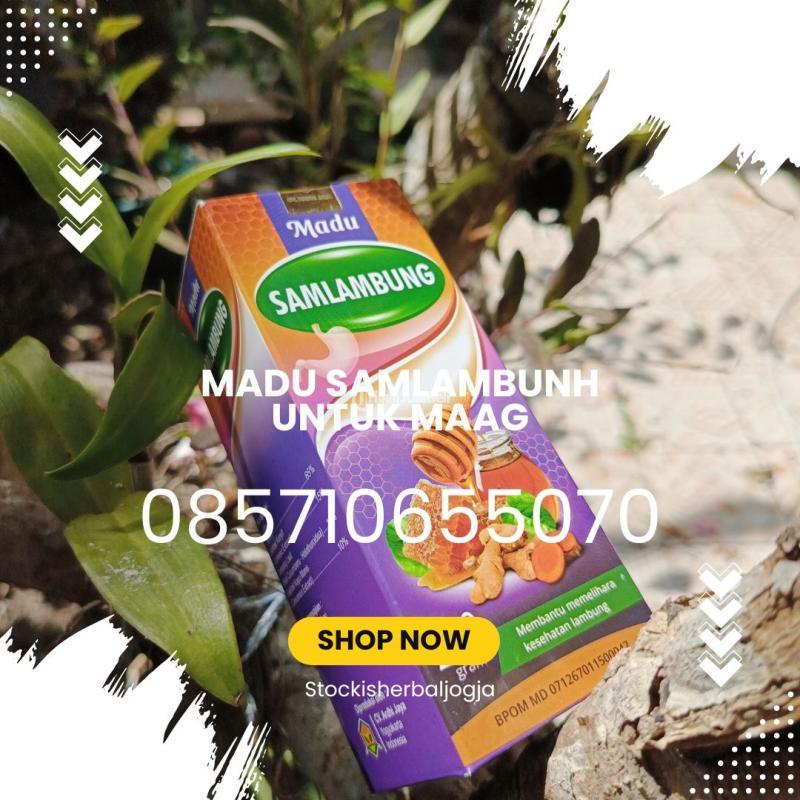 Madu Samlambung Untuk Maag - Bantul