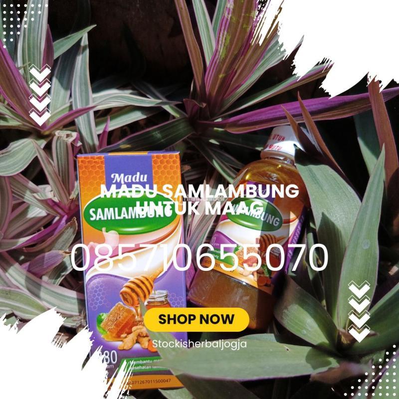 Madu Samlambung Untuk Maag - Bantul