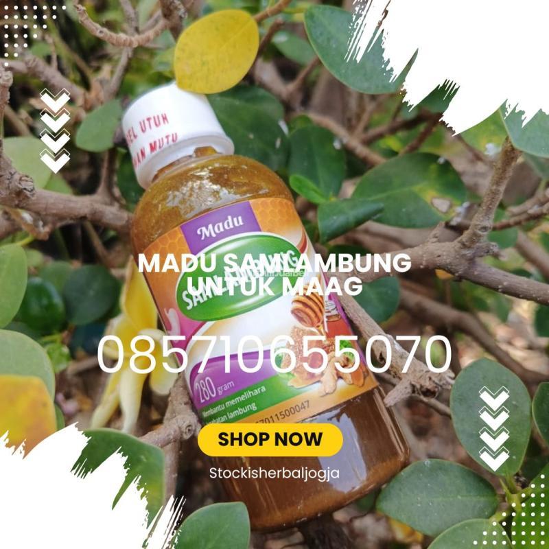 Madu Samlambung Untuk Maag - Bantul