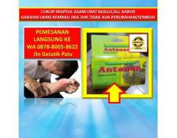  Obat Asam Urat Alami Antanan - Palu 