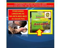  Obat Asam Urat Alami Antanan - Palu 